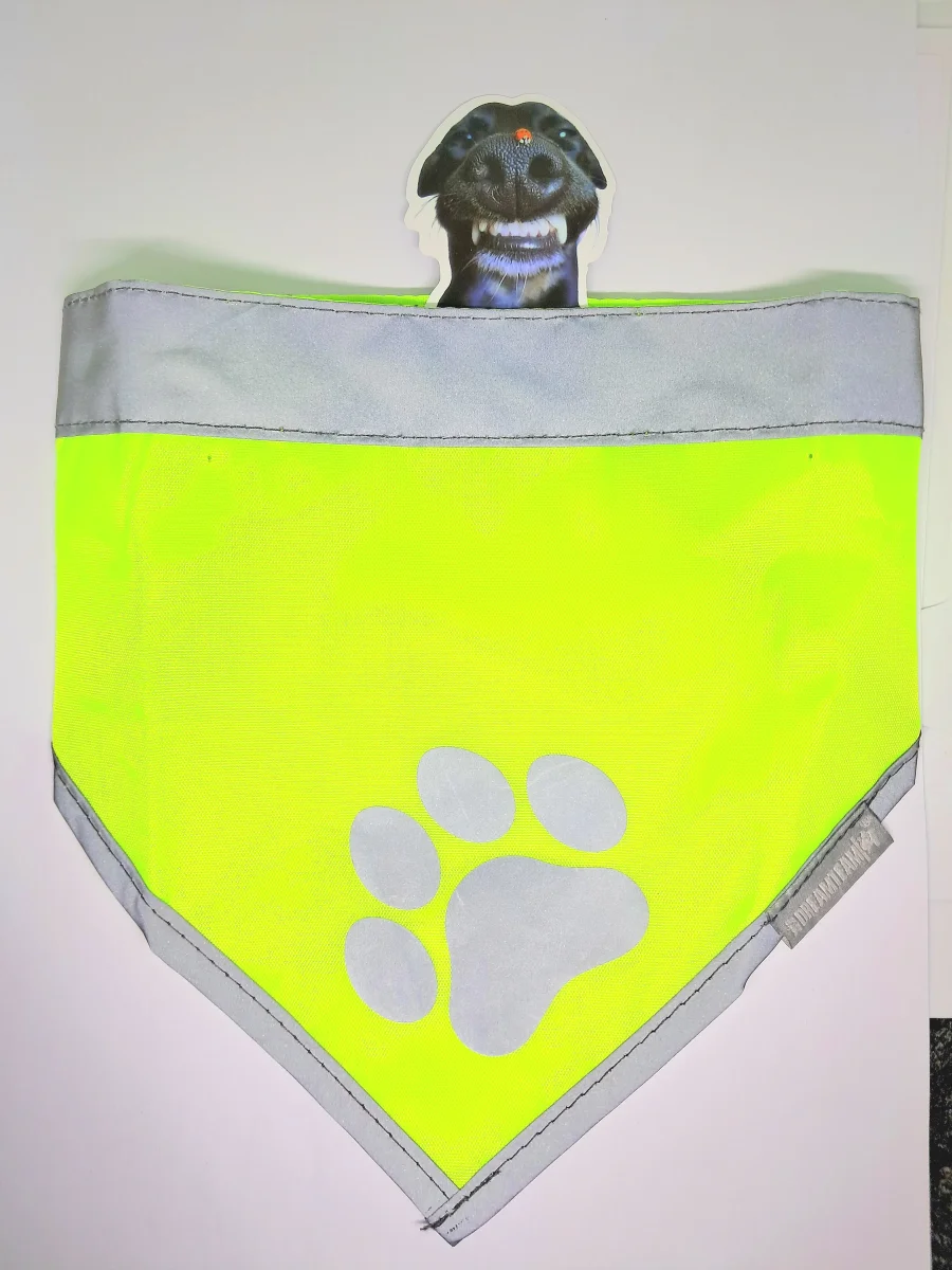 🐾 Bandana Réfléchissant Sécurité & Style