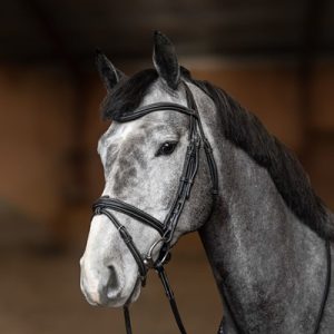 Bridon combiné « Flex » Noir – HFI